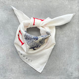 Raccoon Hanky